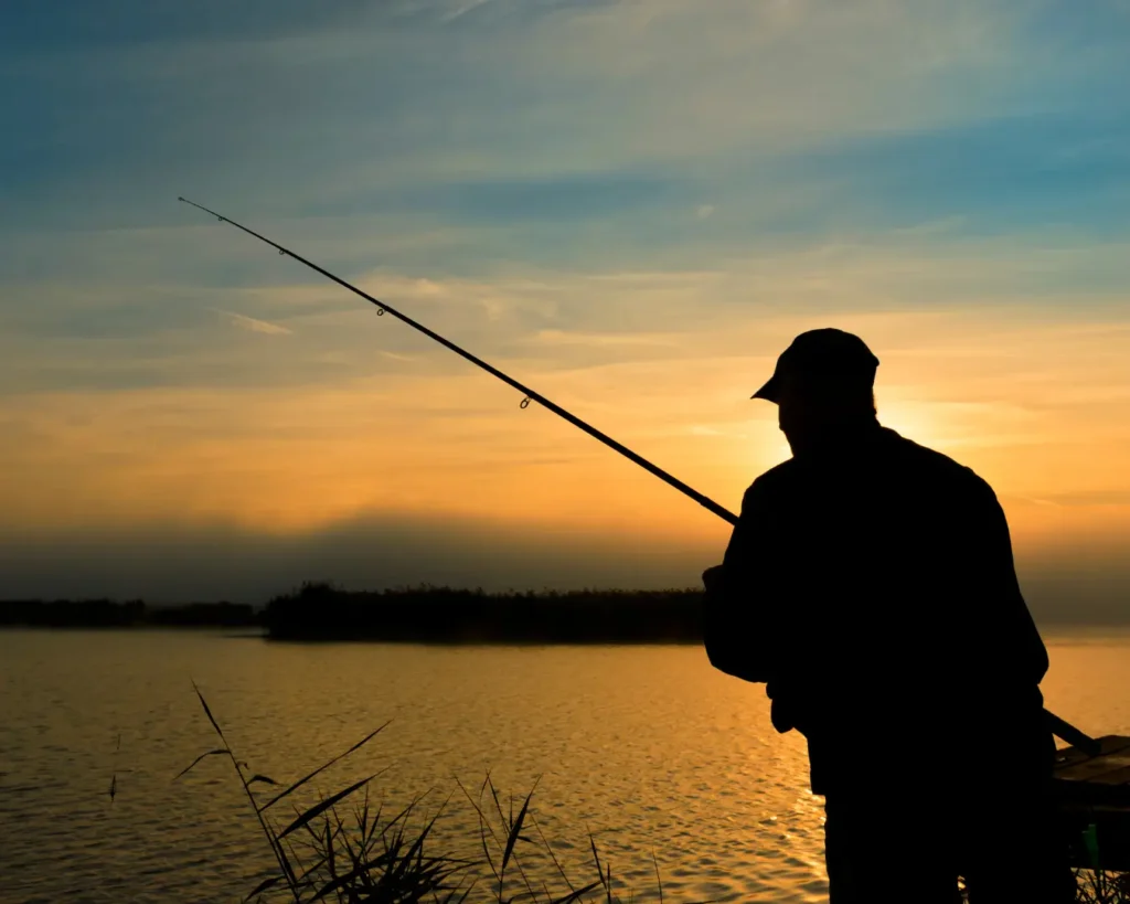 things to do in Anderson SC