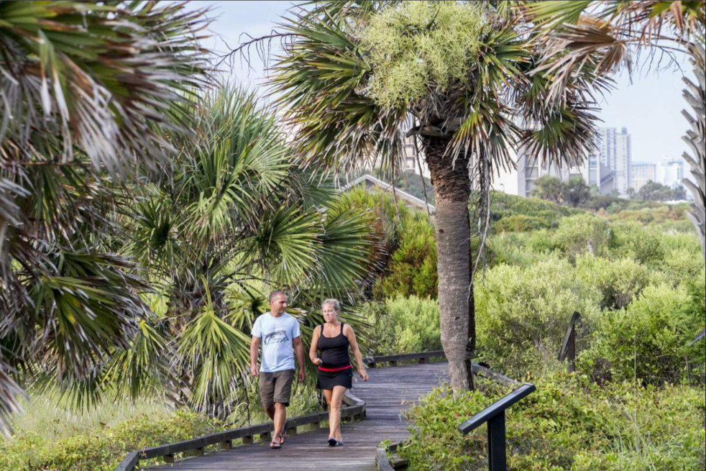 unique facts about South Carolina