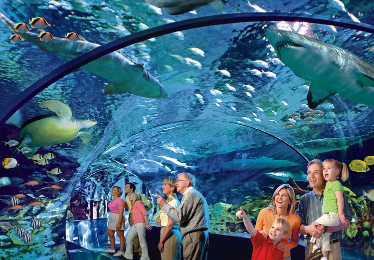 Aquariums in Toronto