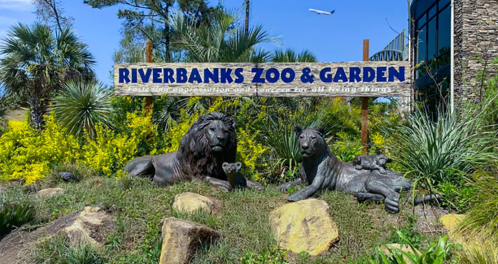 things to do in Columbia SC