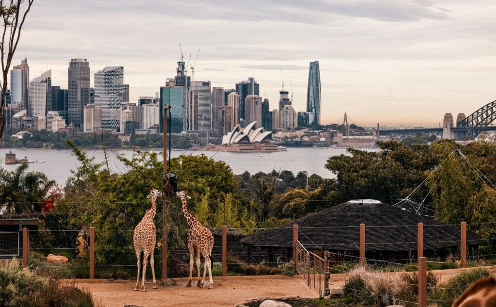 taronga park zoo sydney australia​
