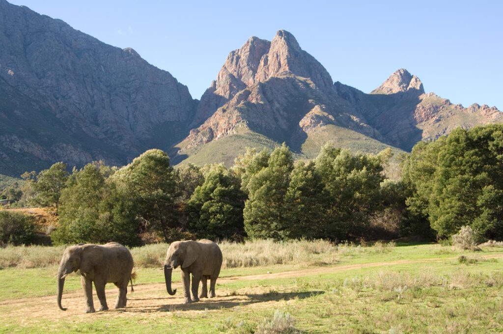 Fairy Glen Game Reserve