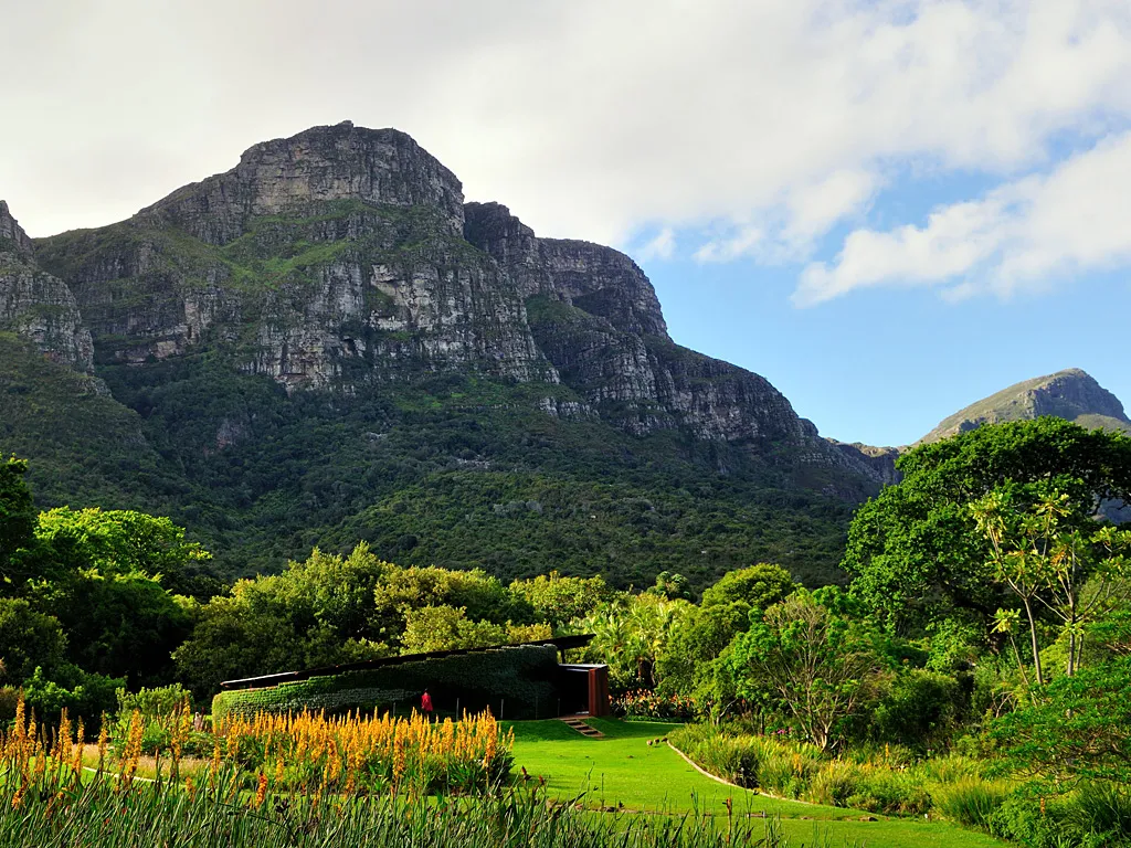 Kirstenbosch Botanical Garden
