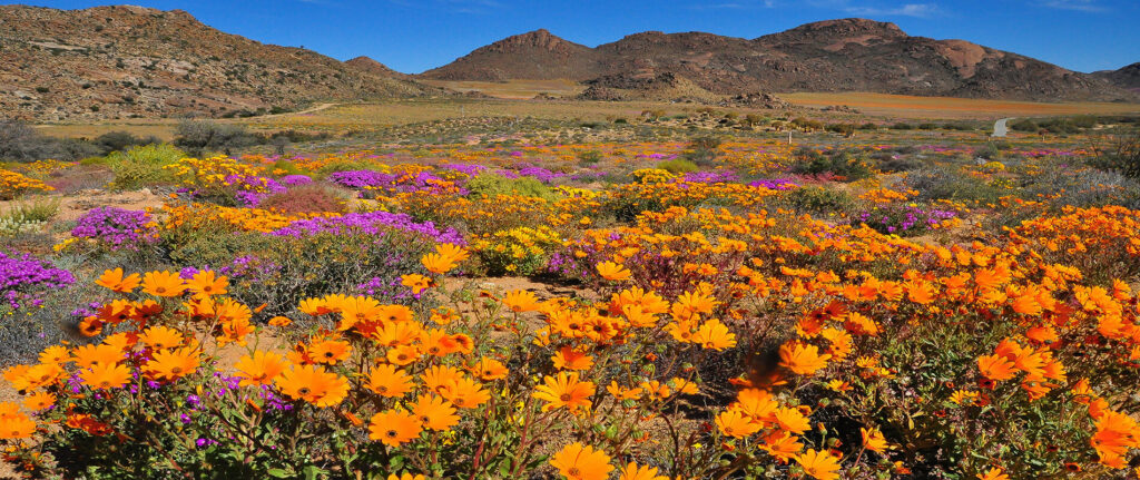 Namaqua National Park