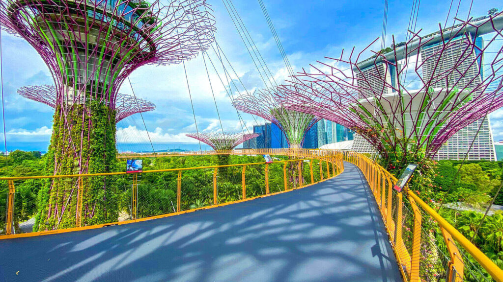 Walk Along the OCBC Skyway