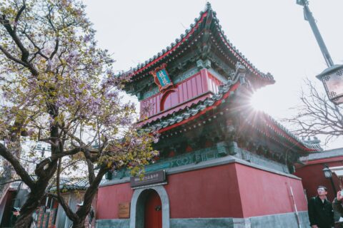 Best Time to Visit Beijing and Shanghai: Complete Seasonal Travel Guide