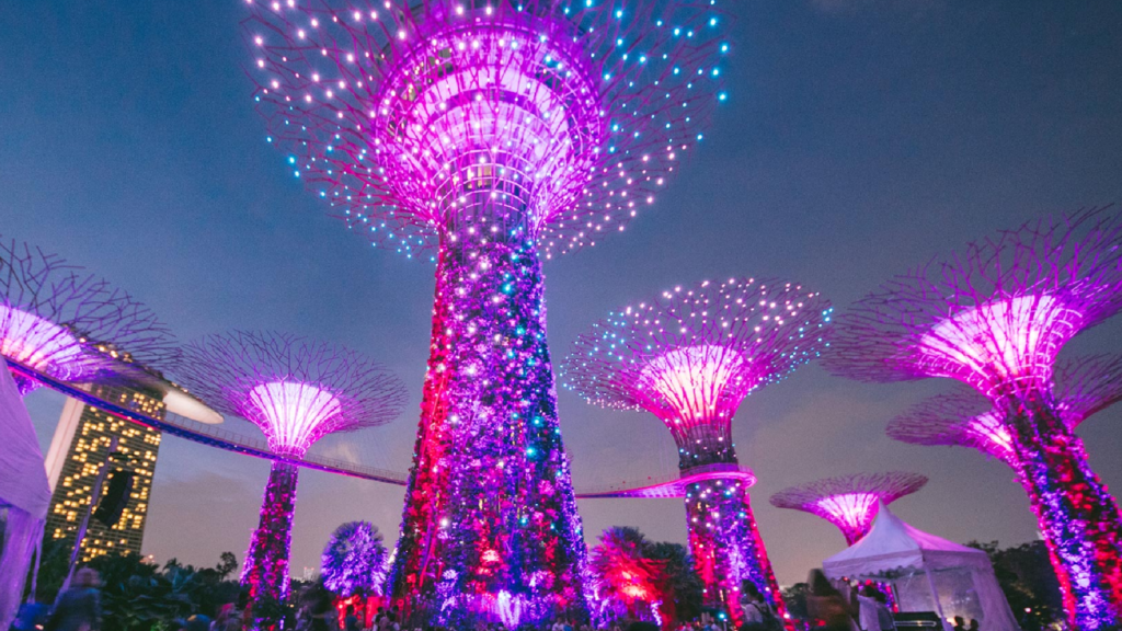 Garden Rhapsody Light Show