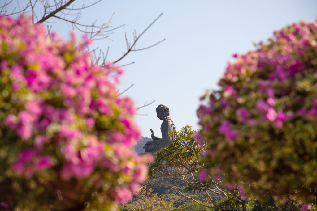 best time to visit Hong Kong