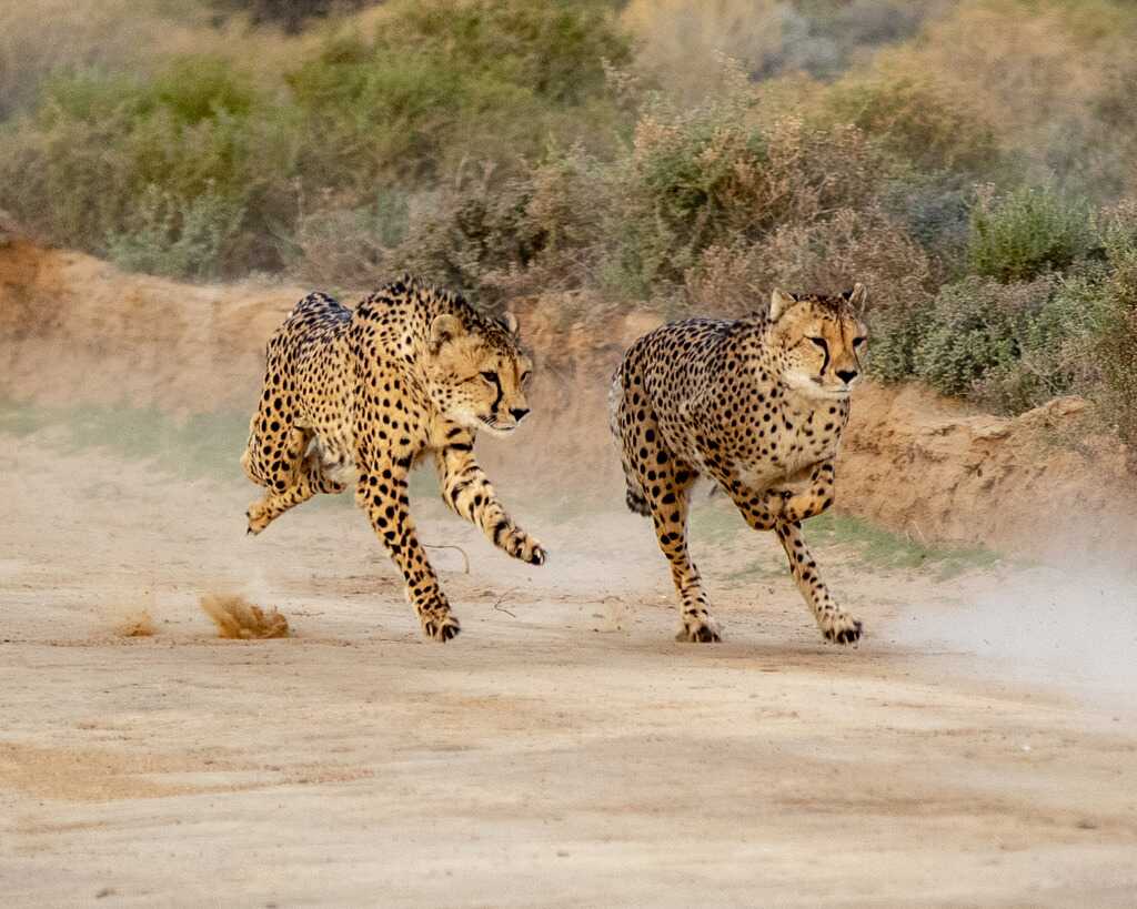 Inverdoorn Private Game Reserve