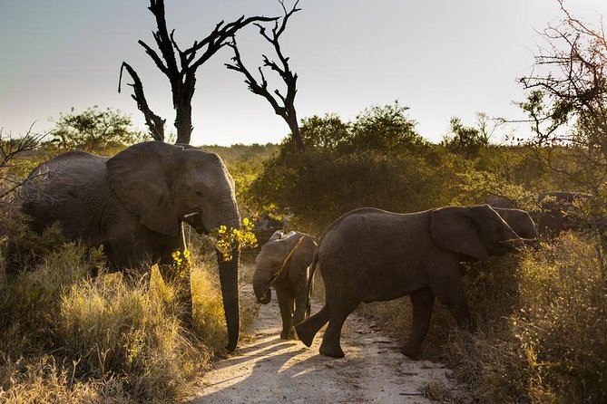 best time to visit South Africa
