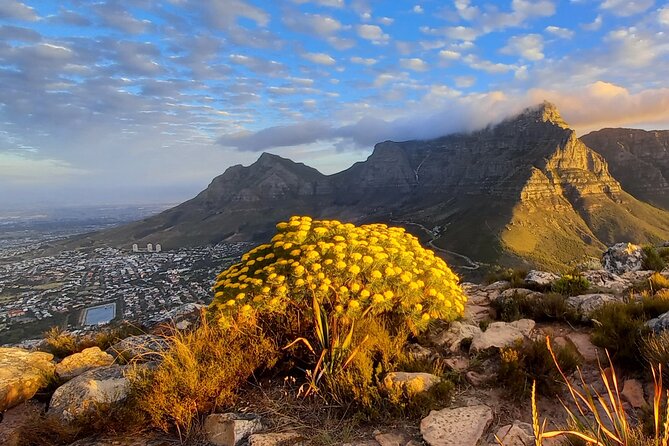 lions head signal hill