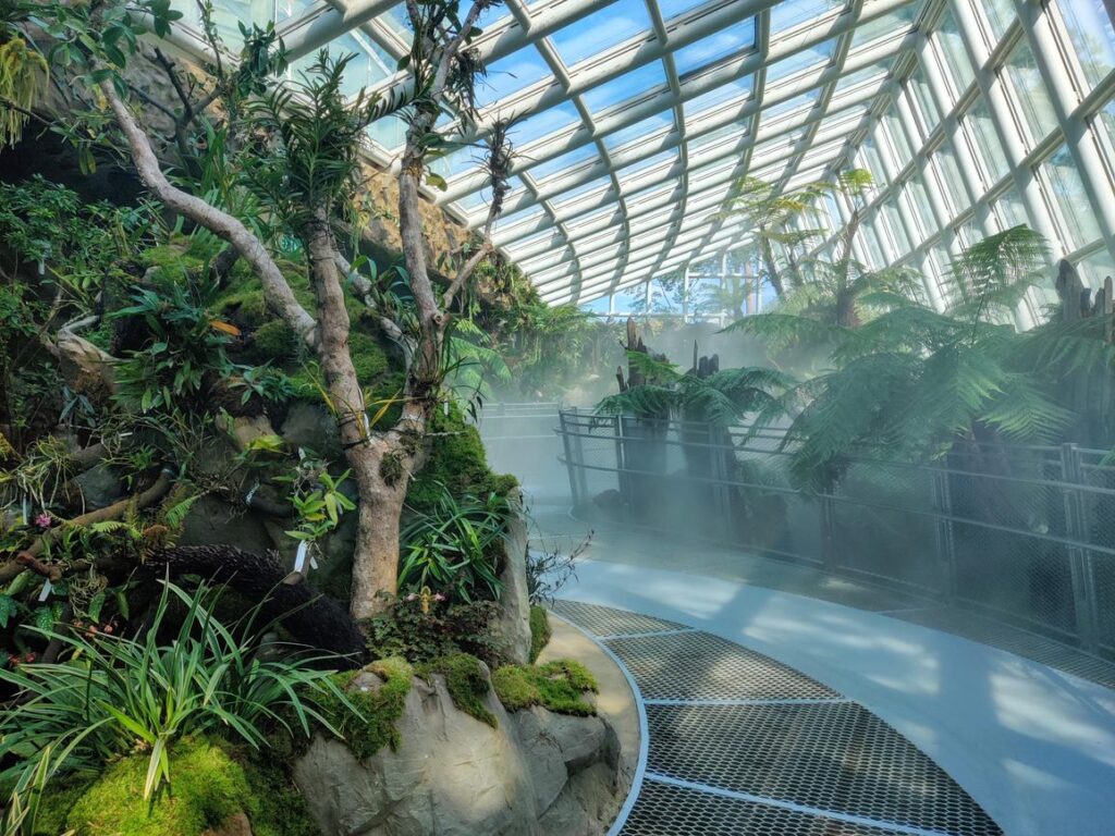 National Orchid Garden