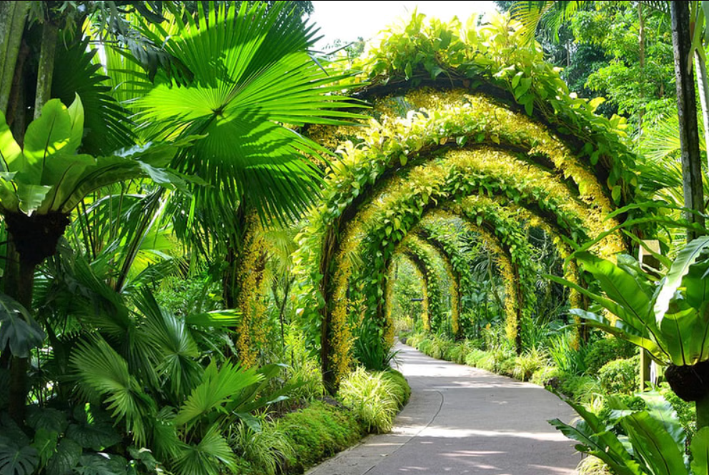 National Orchid Garden