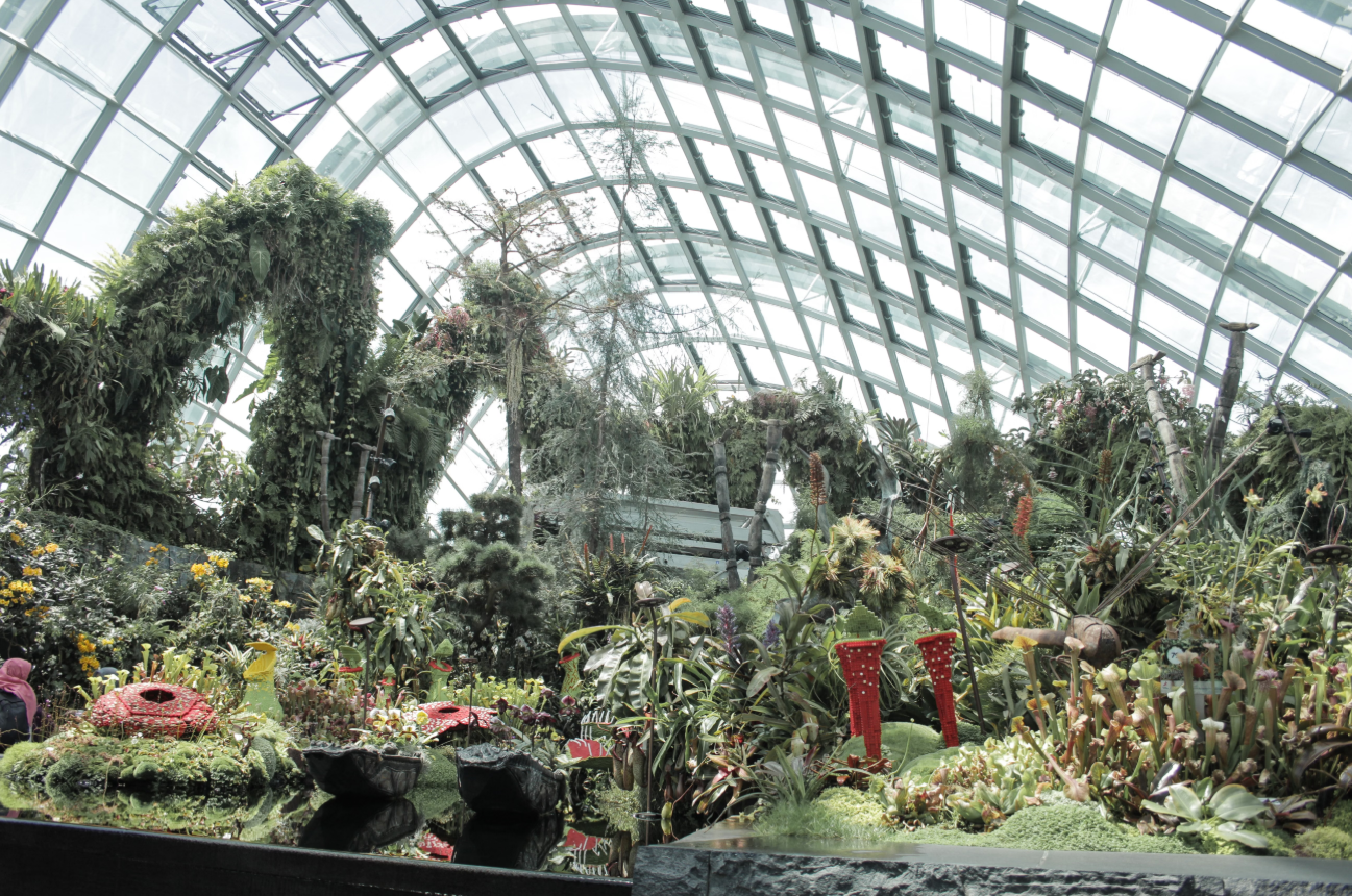 National Orchid Garden: The Ultimate Guide to Singapore's Floral Wonderland