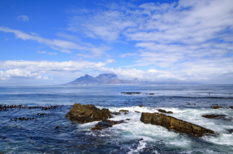 Trip to Robben Island Guide: Ferry Tours, Mandela's Cell and Essential Travel Tips