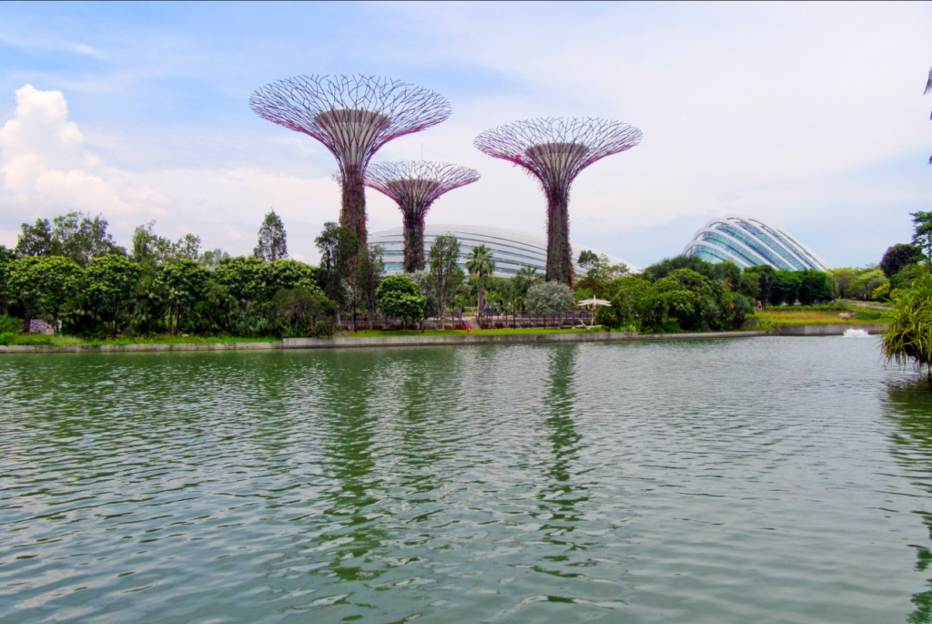Gardens by the Bay