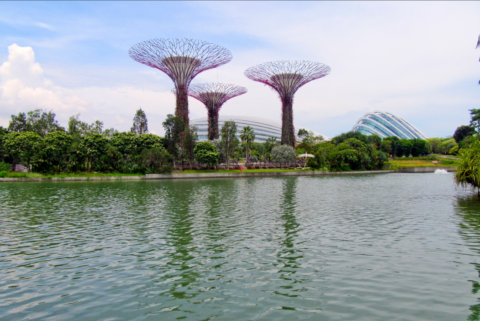 Best Time to Visit Singapore: A Complete Month-by-Month Travel Guide