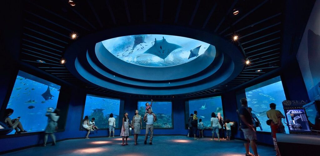 Singapore Oceanarium