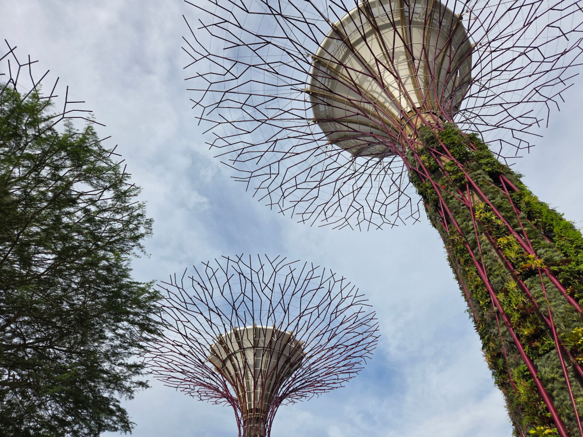 Supertree Grove Singapore & Botanic Gardens SG: The Ultimate Nature Guide to Singapore's Most Iconic Gardens