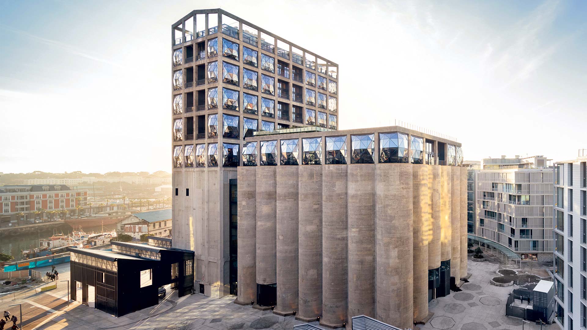 20 Best Things to Do in Cape Town South Africa for an Unforgettable Adventure
