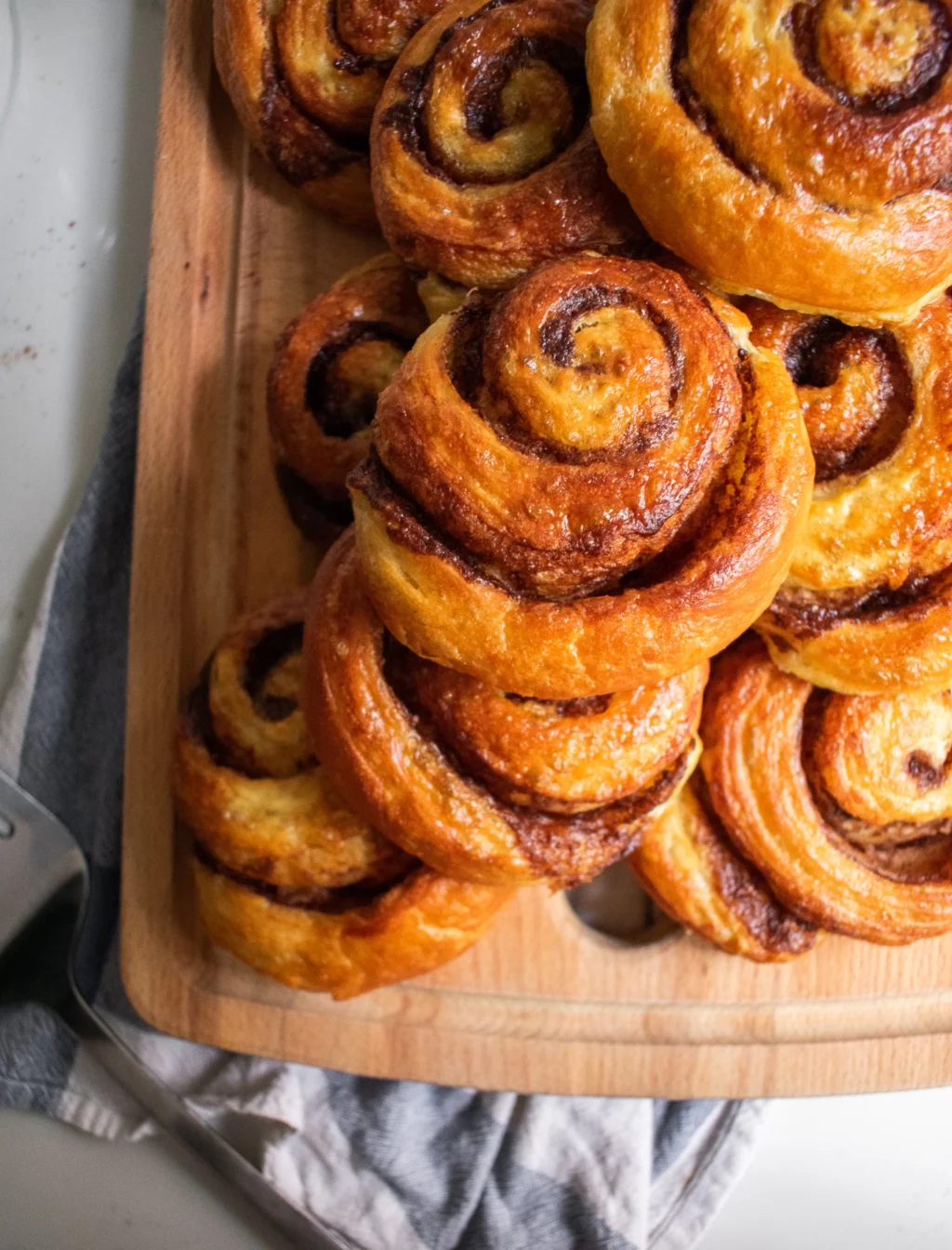 Danish Cinnamon Snail