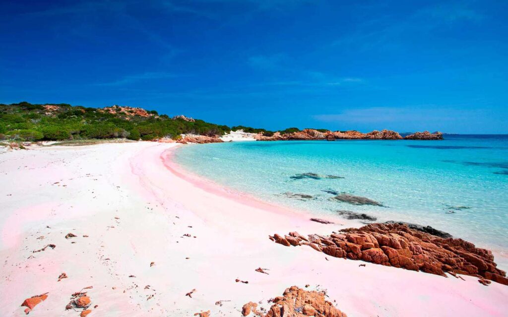 Relaxing on Pink Sands Beach