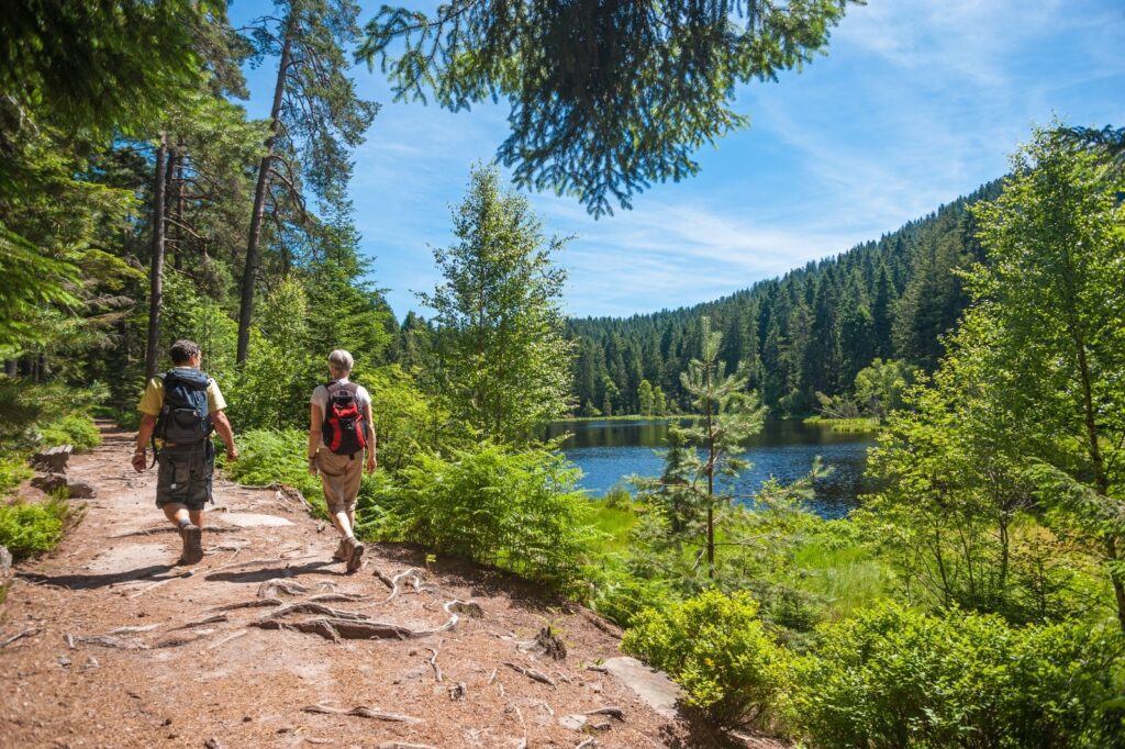 Black Forest (Schwarzwald)