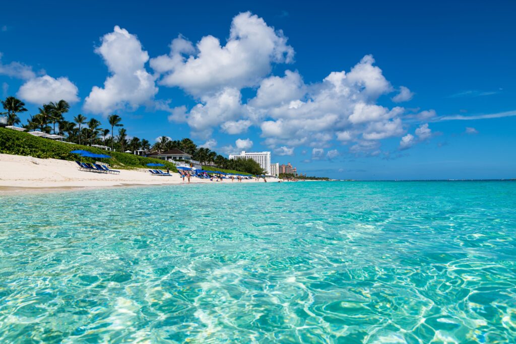 cabbage beach