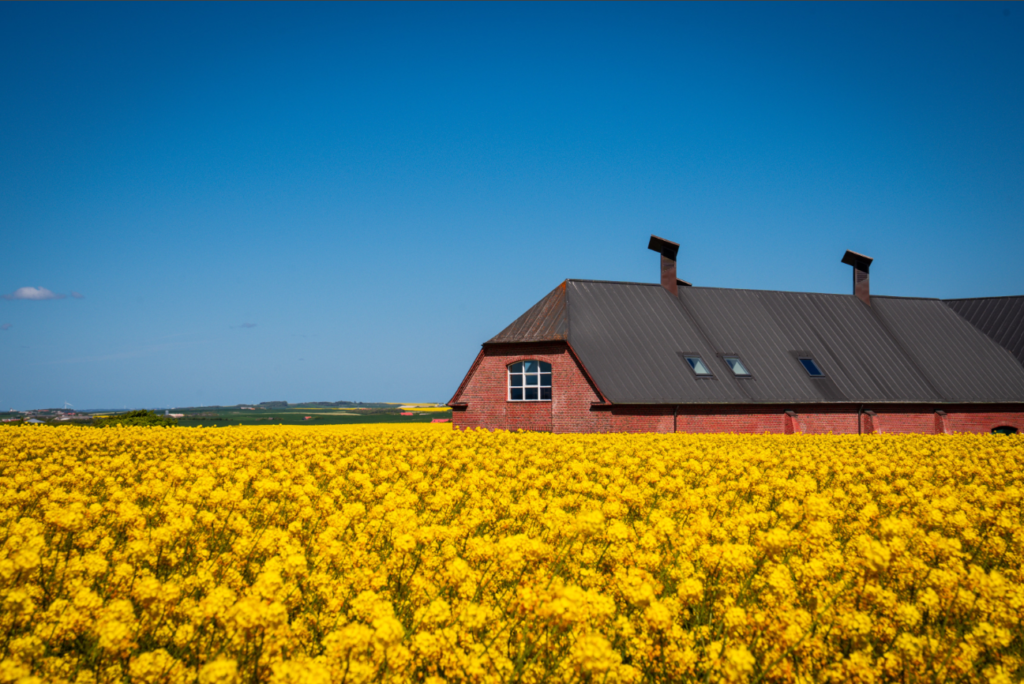 Denmark Countryside: 15 Scenic Danish Countryside Destinations Beyond Copenhagen
