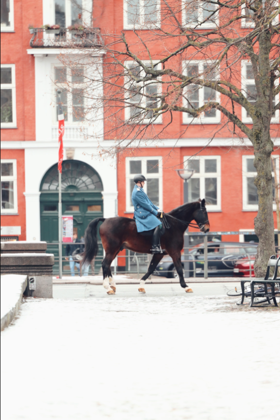 best time to visit Copenhagen Denmark