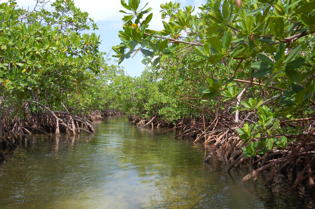 Lucayan National Park