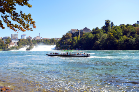 Best Months to Fly to Germany: The Ultimate Guide to the Best Time to Visit Germany