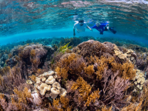 Things Bahamian to Experience: A Complete Guide to Things to Do and Places to Visit in the Bahamas