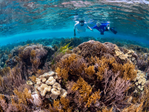 Things Bahamian to Experience: A Complete Guide to Things to Do and Places to Visit in the Bahamas