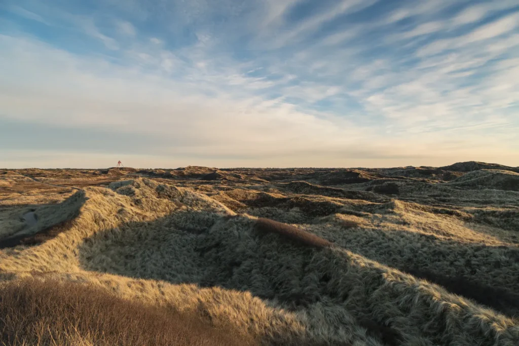 Thy National Park