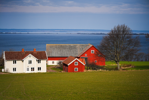 Trip to Scandinavian Countries: Which Nordic Destination Should You Choose?
