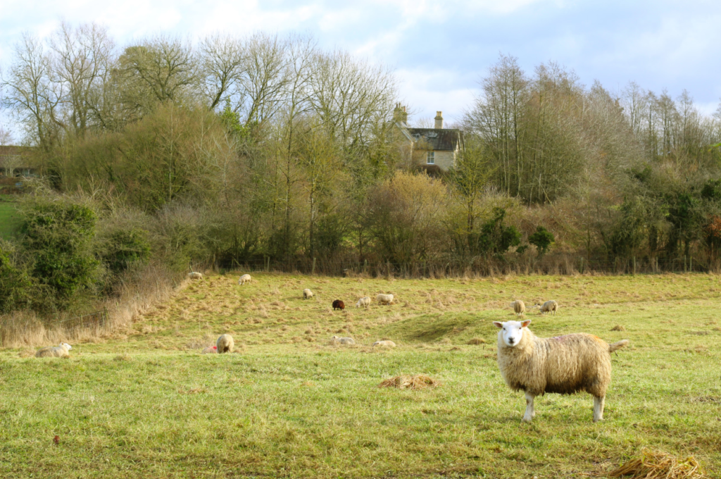 english countryside