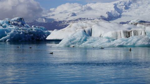 Day Trips from Reykjavik: Best Iceland Excursions and Day Tours
