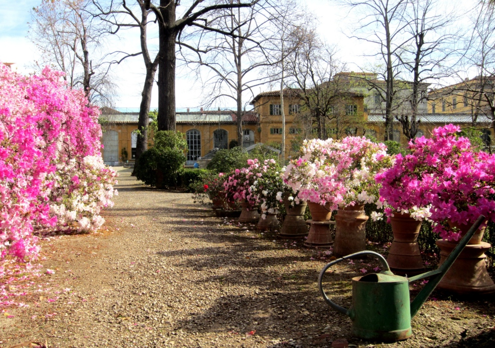 Giardino dei Semplici
