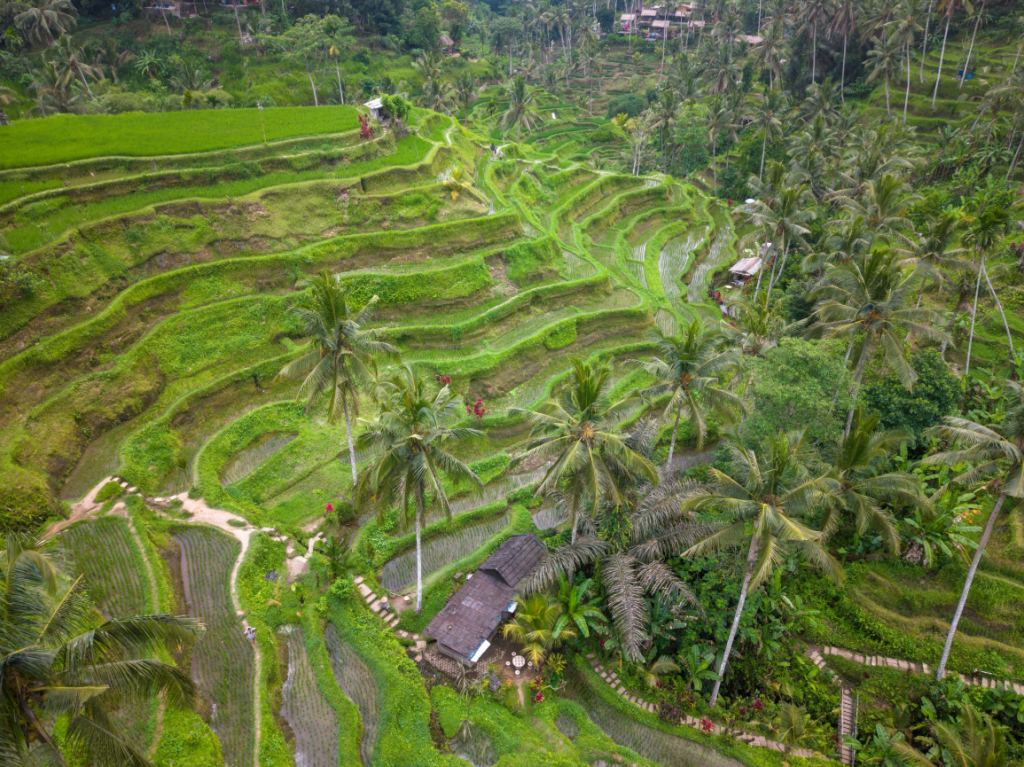 Bali Indonesia islands